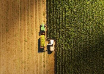 Çiftçilere yılbaşı öncesi piyango vurdu! Hem de yüzde 75 hibeli