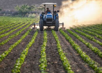 Tarım Müdürlüğü çiftçilere 1.5 milyar TL destek ilan etti!