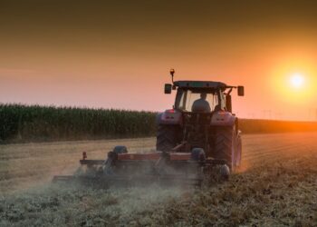 Çiftçilere pazartesi başvurmalı! Yüzde 85 hibeli tarımda devasa destek