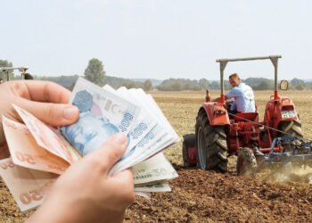 Çiftçilere 2 yeni ödemeyi Tarım Müdürlüğü müjdeledi!
