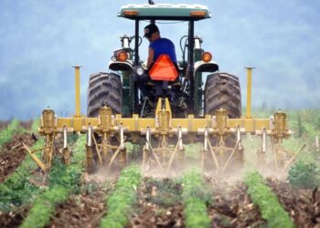 Tohum ve gübre desteği! Çiftçilere tarımda yepyeni katkı