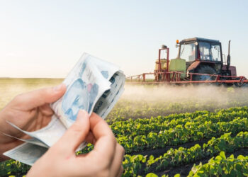 Çiftçilere 5 destek bugün başladı! Tarımda devasa müjde